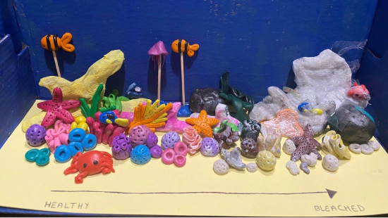 3D artwork showing colourful coral reef on the left with bleached coral on the right