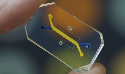 RZ Organ on a Chip credit WiessInstitute