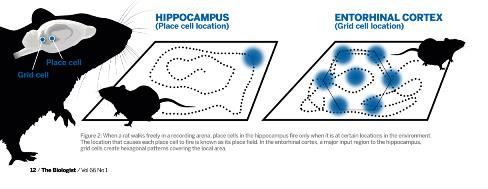 Grid mouse diagram thumb